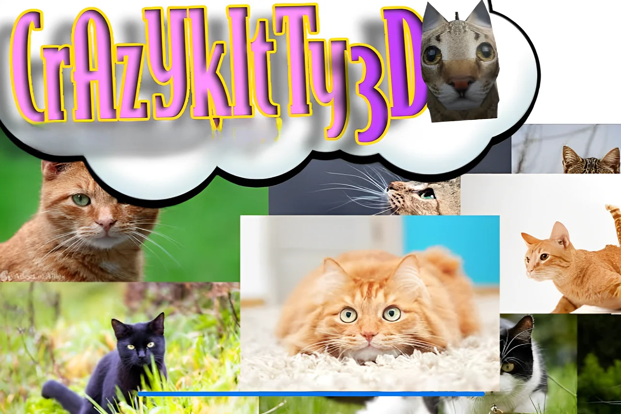 Crazy Kitty 3D